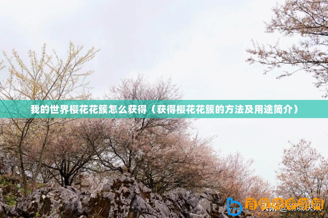 我的世界櫻花花簇怎么獲得（獲得櫻花花簇的方法及用途簡介）