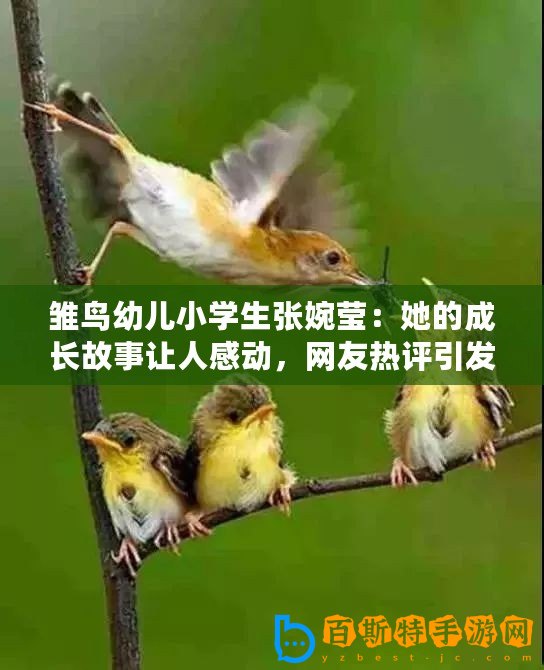 雛鳥(niǎo)幼兒小學(xué)生張婉瑩：她的成長(zhǎng)故事讓人感動(dòng)，網(wǎng)友熱評(píng)引發(fā)共鳴！