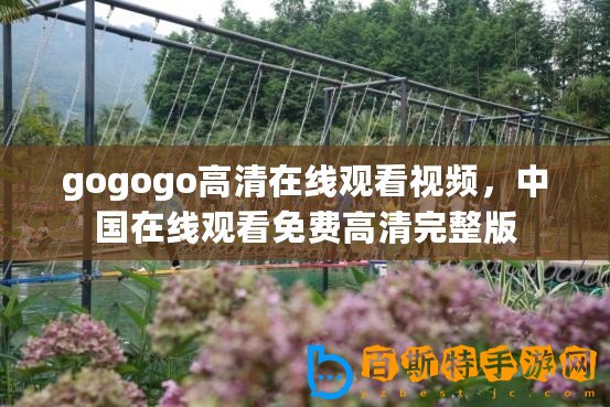 gogogo高清在線觀看視頻，中國在線觀看免費高清完整版