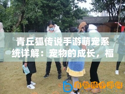 青丘狐傳說手游萌寵系統詳解：寵物的成長，福利不可忽視