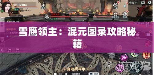 雪鷹領主：混元圖錄攻略秘籍