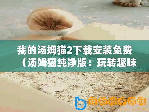 我的湯姆貓2下載安裝免費（湯姆貓純凈版：玩轉(zhuǎn)趣味生活，解鎖寵物世界的無限可能！）