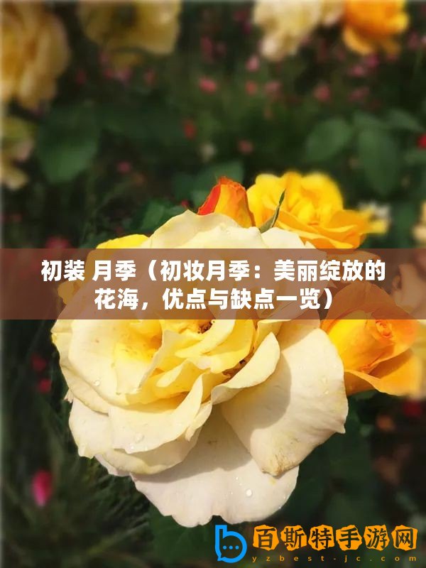 初裝 月季（初妝月季：美麗綻放的花海，優點與缺點一覽）