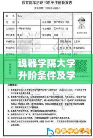 魂器學院大學升階條件及學籍前提要求