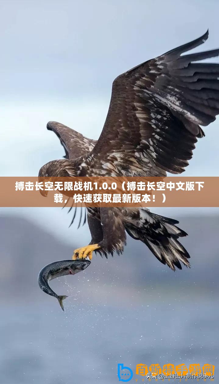 搏擊長空無限戰機1.0.0（搏擊長空中文版下載，快速獲取最新版本！）