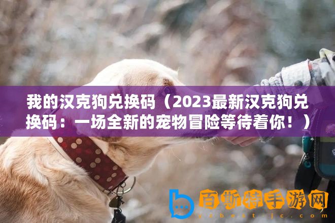 我的漢克狗兌換碼（2023最新漢克狗兌換碼：一場全新的寵物冒險等待著你?。?/>			</a>
		</figure>
		<div   id=