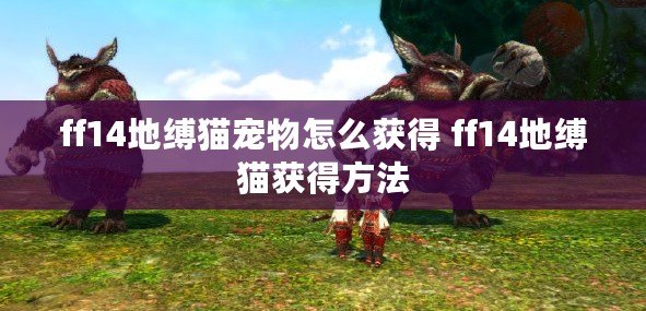 ff14地縛貓寵物怎么獲得 ff14地縛貓獲得方法