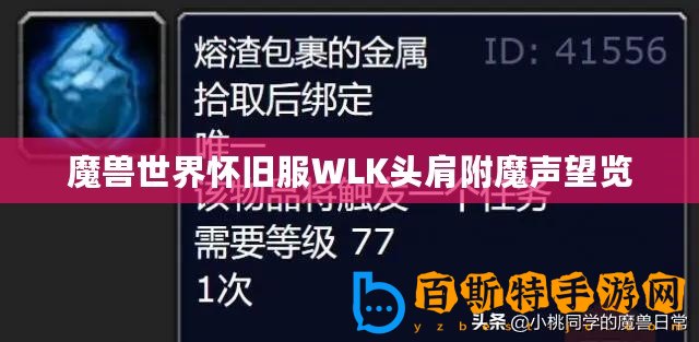 魔獸世界懷舊服WLK頭肩附魔聲望覽