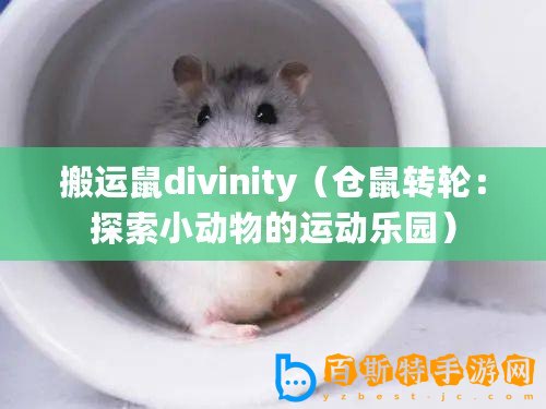 搬運鼠divinity（倉鼠轉輪：探索小動物的運動樂園）