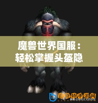 魔獸世界國服：輕松掌握頭盔隱藏技巧，個性化外觀秘籍！