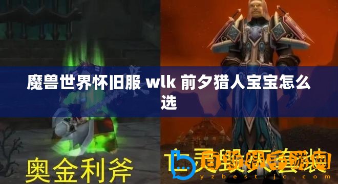 魔獸世界懷舊服 wlk 前夕獵人寶寶怎么選