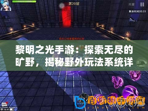 黎明之光手游：探索無盡的曠野，揭秘野外玩法系統詳解