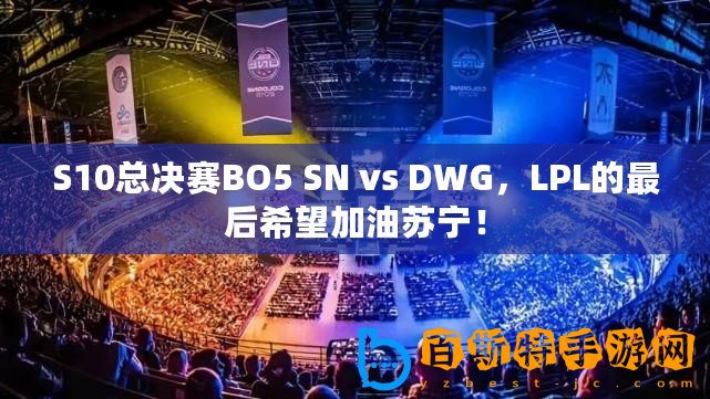 S10總決賽BO5 SN vs DWG，LPL的最后希望加油蘇寧！