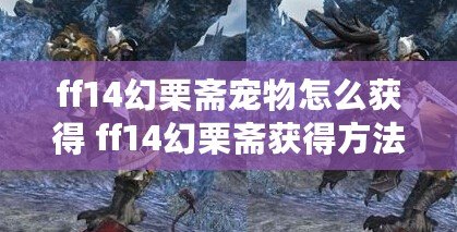 ff14幻栗齋寵物怎么獲得 ff14幻栗齋獲得方法