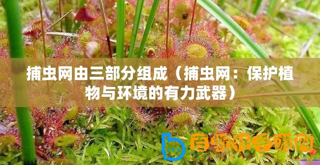 捕蟲網由三部分組成（捕蟲網：保護植物與環境的有力武器）