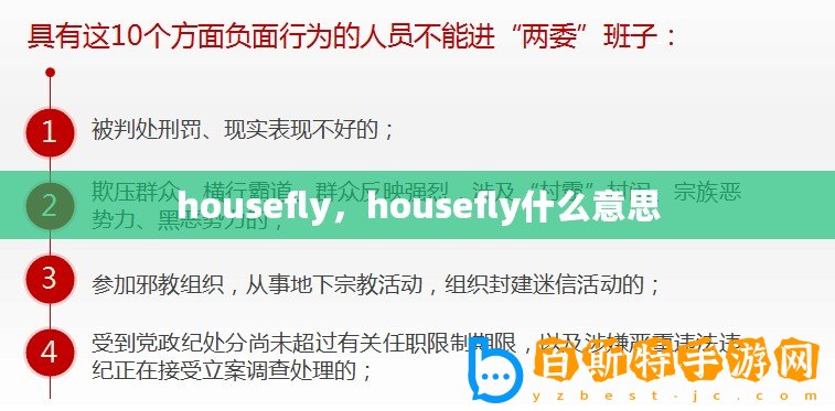 housefly，housefly什么意思