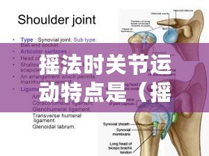 搖法時關節運動特點是（搖法時關節運動特點：以中心為軸，關節運動的搖法及特點）