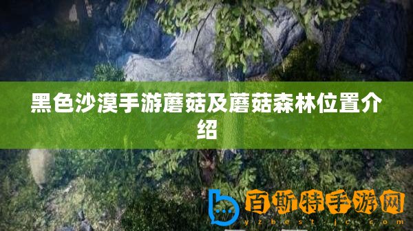 黑色沙漠手游蘑菇及蘑菇森林位置介紹