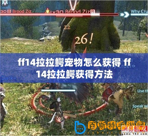 ff14拉拉鱷寵物怎么獲得 ff14拉拉鱷獲得方法